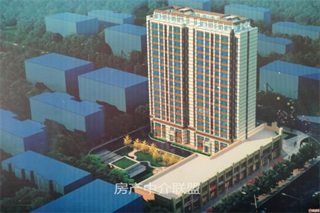 凤凰城3室2厅1卫118㎡带付房
